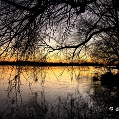 2022-01-11-687loireZ9