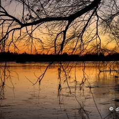 2022-01-11-689loireZ9