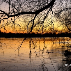 2022-01-11-690loireZ9