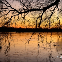 2022-01-11-694loireZ9