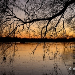 2022-01-11-695loireZ9