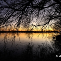 2022-01-11-698loireZ9