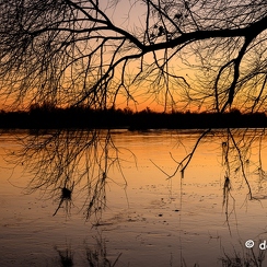 2022-01-11-699loireZ9