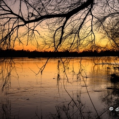 2022-01-11-700loireZ9