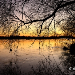 2022-01-11-702loireZ9