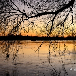 2022-01-11-710loireZ9