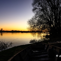 2022-01-11-711loireZ9