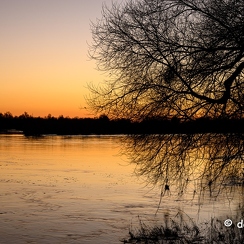 2022-01-11-717loireZ9