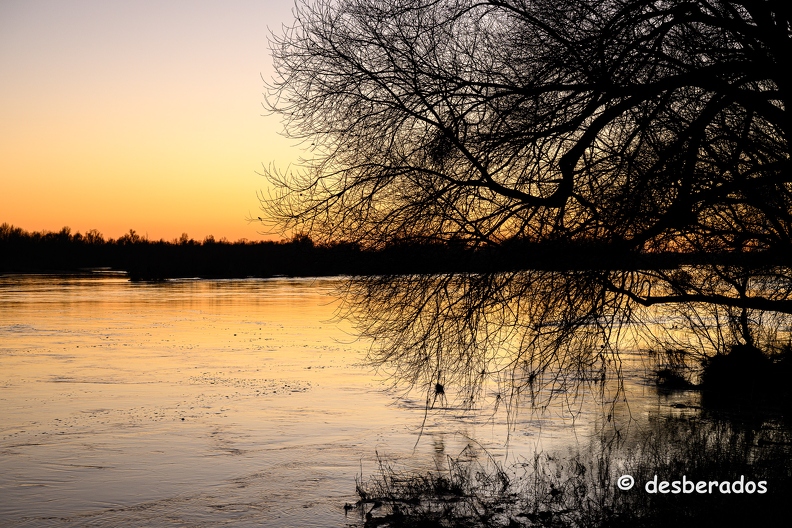 2022-01-11-718loireZ9.jpg