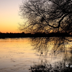 2022-01-11-718loireZ9