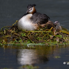 2023-04-23-169joueZ9