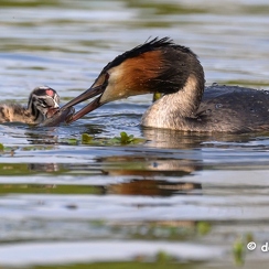 2023-04-30-236joueZ9