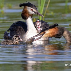 2023-04-30-318joueZ9