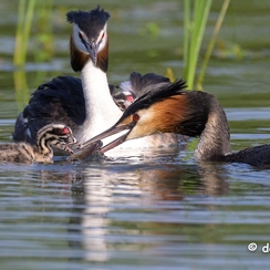 2023-04-30-328joueZ9