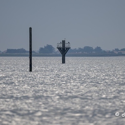 2023-06-09-8541noirmoutierZ9