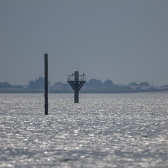 2023-06-09-8544noirmoutierZ9