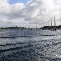 ile aux moines 2023 Z8