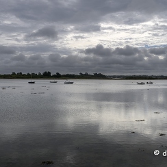 2023-08-14-166ileauxmoinesZ8