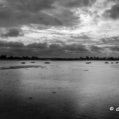 2023-08-14-169ileauxmoinesZ8