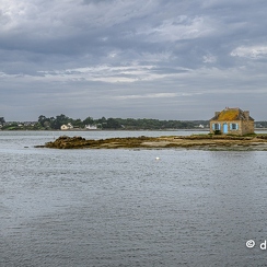 2023-08-14-170ileauxmoinesZ8