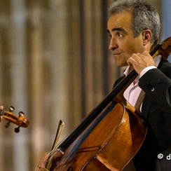 2023-08-14-739festivalRiaZ8
