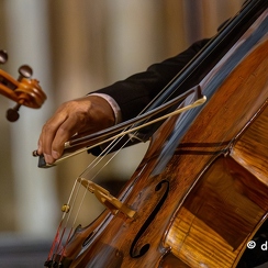 2023-08-14-744festivalRiaZ8