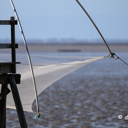 Vendée 2024 Top