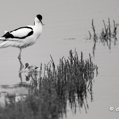 2024-05-05-00417vendeeZ9