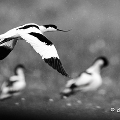 2024-05-05-00440vendeeZ9