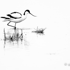 2024-05-05-00467vendeeZ9