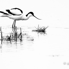 2024-05-05-00471vendeeZ9