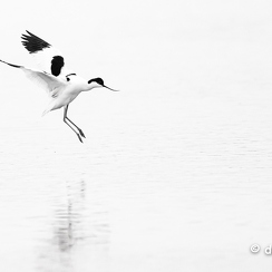 2024-05-05-00482vendeeZ9