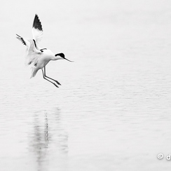 2024-05-05-00483vendeeZ9