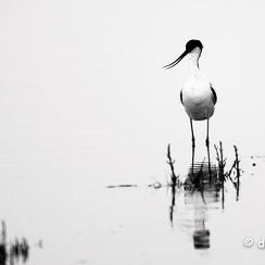 2024-05-05-00488vendeeZ9