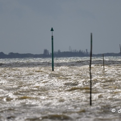 2024-05-06-01610vendeeZ9