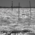 2024-05-06-01631vendeeZ9