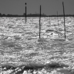 2024-05-06-01631vendeeZ9