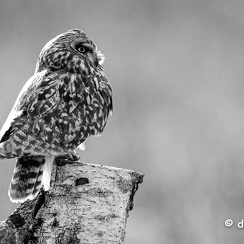 2024-05-06-01817vendeeZ9