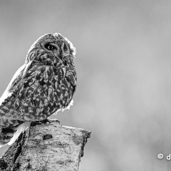 2024-05-06-01834vendeeZ9