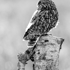 2024-05-06-01849vendeeZ9