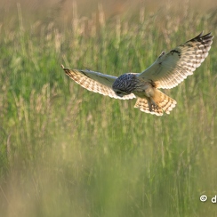 2024-05-10-5727vendeeZ8-Avec accentuation-Bruit
