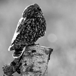 2024-05-06-01851vendeeZ9