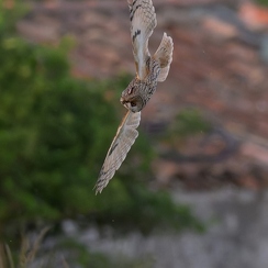 20240508-2024-05-08-3731vendeeZ8-NEF