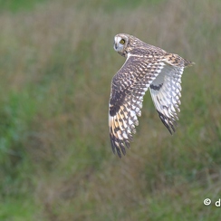 2024-11-06-6758vendeeZ9-Avec accentuation-Bruit