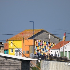 2025-03-04-4125vendeeZ9