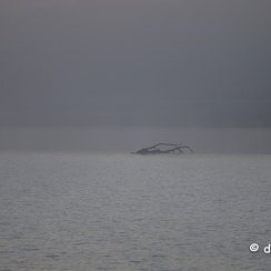 2022-11-13-17brenneZ9