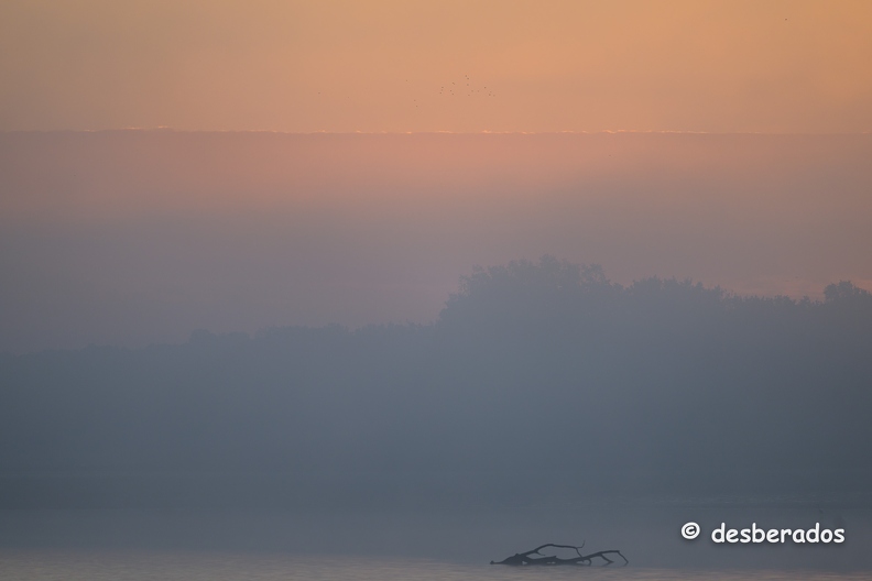 2022-11-13-20brenneZ9.jpg