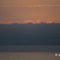 2022-11-13-23brenneZ9