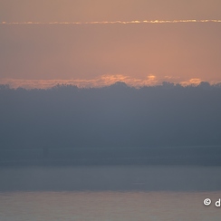 2022-11-13-25brenneZ9