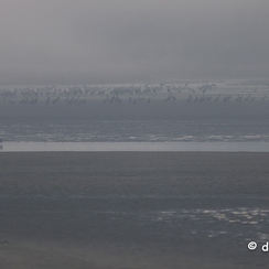 2022-11-13-65brenneZ9